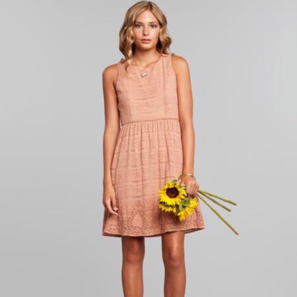 Blush Lace Swing Dress